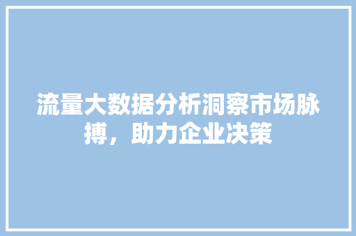 流量大数据分析洞察市场脉搏，助力企业决策