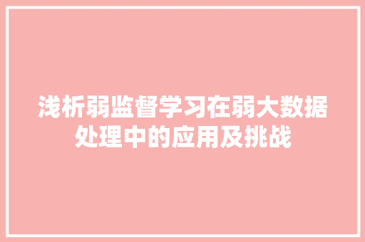 浅析弱监督学习在弱大数据处理中的应用及挑战