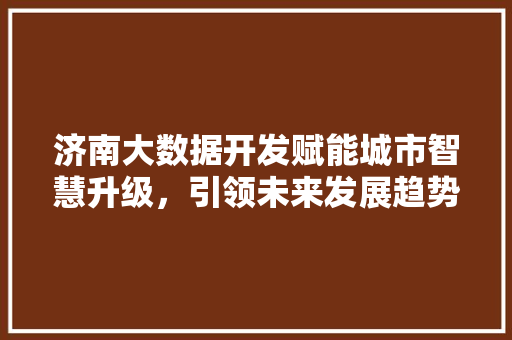 济南大数据开发赋能城市智慧升级，引领未来发展趋势