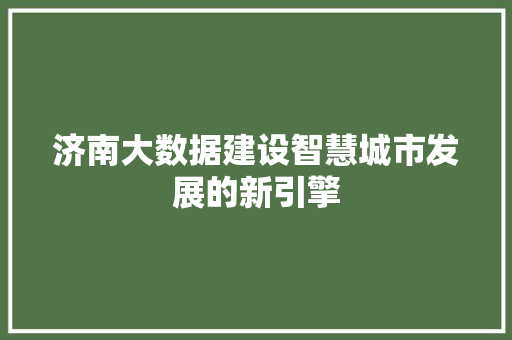 济南大数据建设智慧城市发展的新引擎