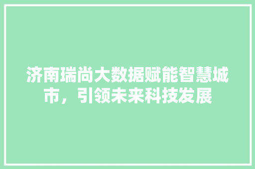 济南瑞尚大数据赋能智慧城市，引领未来科技发展