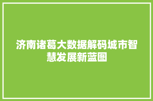 济南诸葛大数据解码城市智慧发展新蓝图