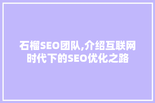 石榴SEO团队,介绍互联网时代下的SEO优化之路