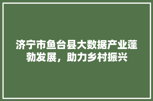 济宁市鱼台县大数据产业蓬勃发展，助力乡村振兴