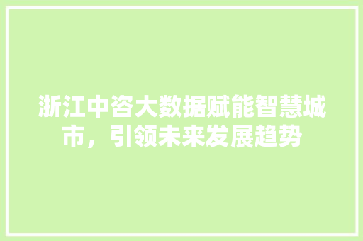 浙江中咨大数据赋能智慧城市，引领未来发展趋势