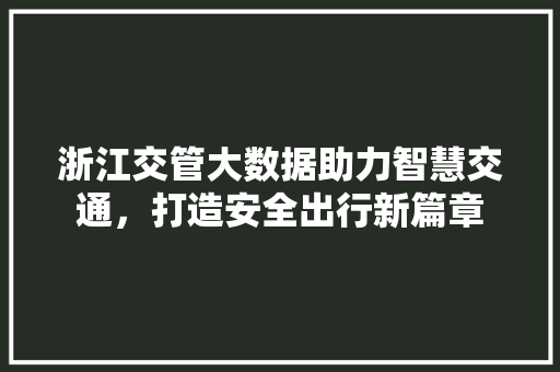 浙江交管大数据助力智慧交通，打造安全出行新篇章