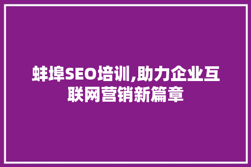 蚌埠SEO培训,助力企业互联网营销新篇章 项目报告