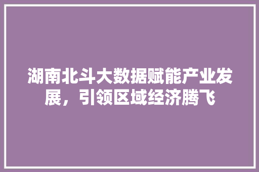 湖南北斗大数据赋能产业发展，引领区域经济腾飞
