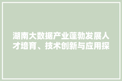 湖南大数据产业蓬勃发展人才培育、技术创新与应用探索