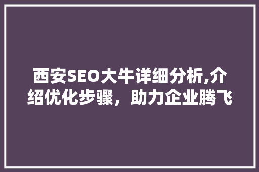 西安SEO大牛详细分析,介绍优化步骤，助力企业腾飞 项目报告