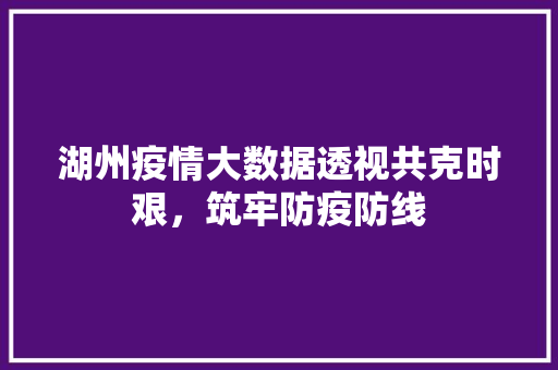 湖州疫情大数据透视共克时艰，筑牢防疫防线