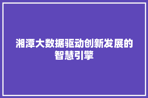 湘潭大数据驱动创新发展的智慧引擎