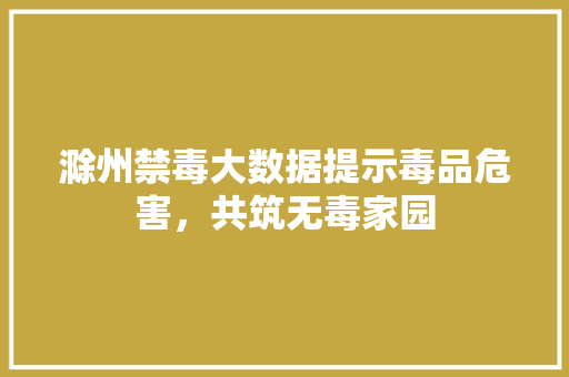 滁州禁毒大数据提示毒品危害，共筑无毒家园