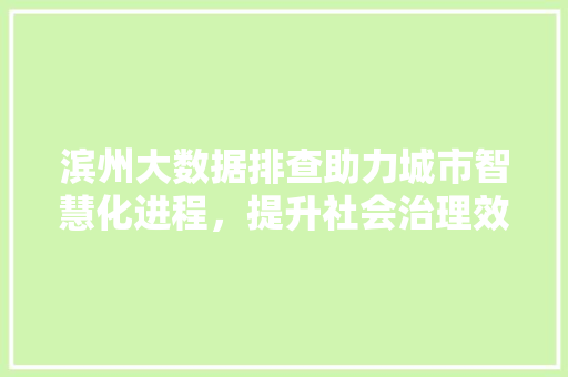 滨州大数据排查助力城市智慧化进程，提升社会治理效能