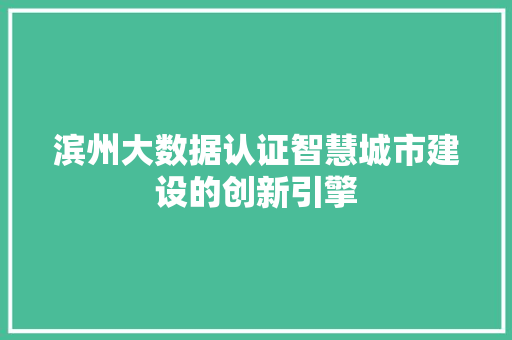 滨州大数据认证智慧城市建设的创新引擎
