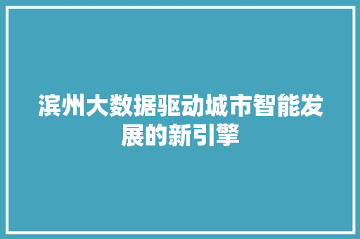 滨州大数据驱动城市智能发展的新引擎