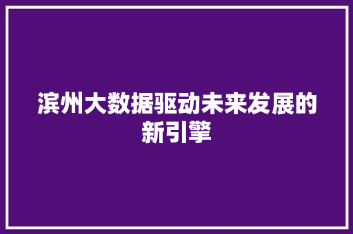 滨州大数据驱动未来发展的新引擎