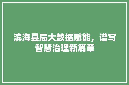 滨海县局大数据赋能，谱写智慧治理新篇章