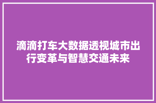 滴滴打车大数据透视城市出行变革与智慧交通未来
