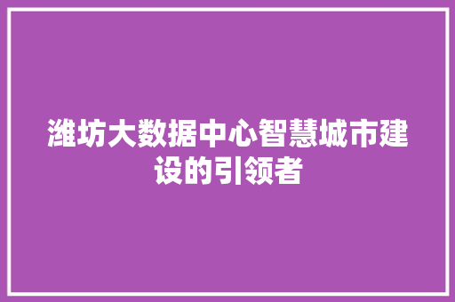 潍坊大数据中心智慧城市建设的引领者