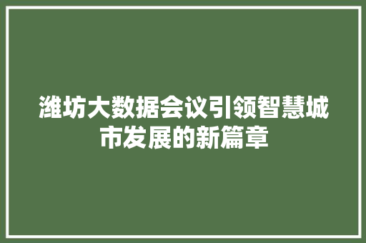 潍坊大数据会议引领智慧城市发展的新篇章