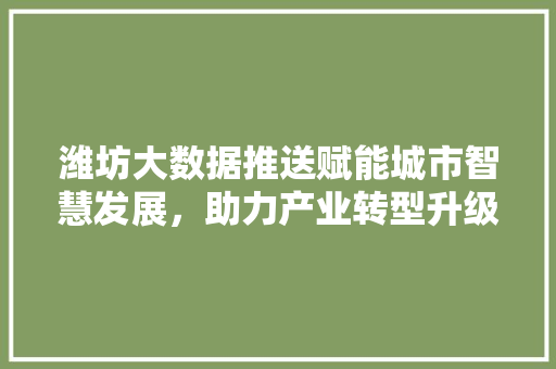 潍坊大数据推送赋能城市智慧发展，助力产业转型升级