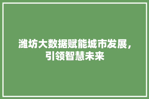 潍坊大数据赋能城市发展，引领智慧未来
