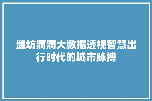 潍坊滴滴大数据透视智慧出行时代的城市脉搏