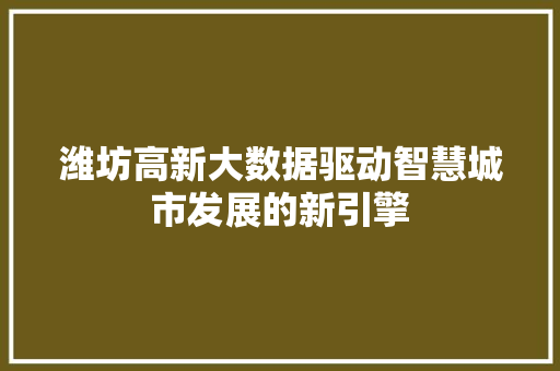 潍坊高新大数据驱动智慧城市发展的新引擎