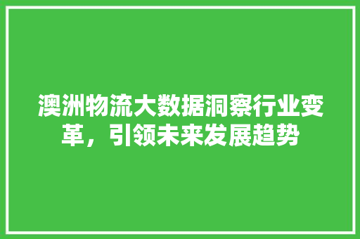 澳洲物流大数据洞察行业变革，引领未来发展趋势