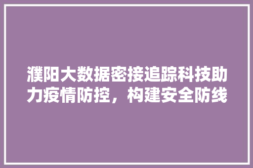 濮阳大数据密接追踪科技助力疫情防控，构建安全防线