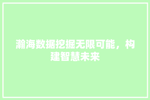 瀚海数据挖掘无限可能，构建智慧未来