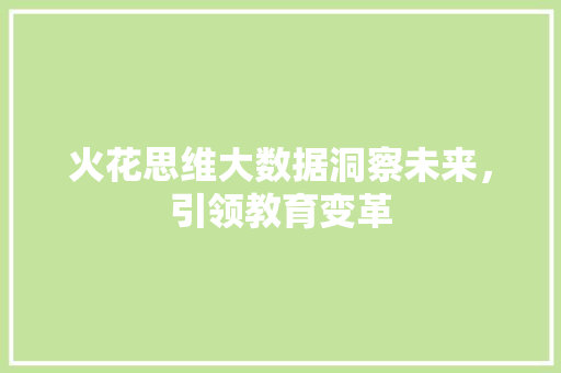 火花思维大数据洞察未来，引领教育变革