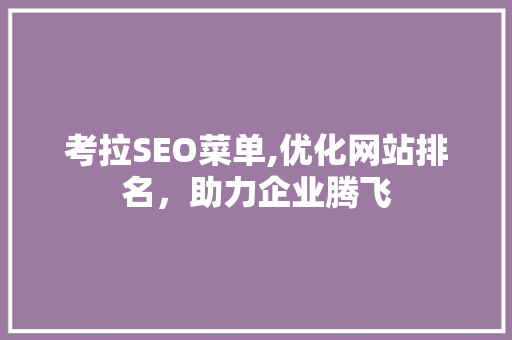 考拉SEO菜单,优化网站排名，助力企业腾飞 后端技术