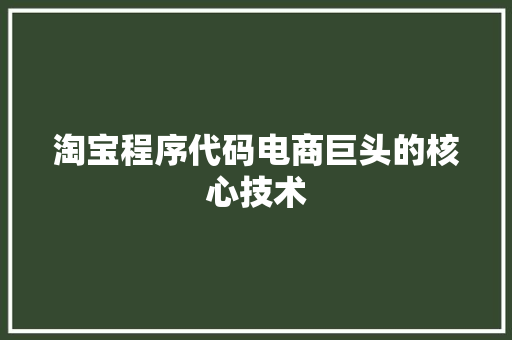淘宝程序代码电商巨头的核心技术