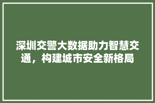 深圳交警大数据助力智慧交通，构建城市安全新格局