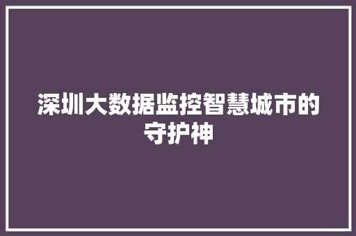 深圳大数据监控智慧城市的守护神