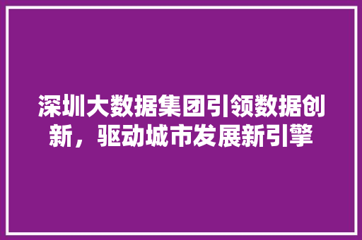 深圳大数据集团引领数据创新，驱动城市发展新引擎