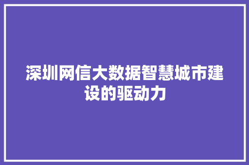 深圳网信大数据智慧城市建设的驱动力