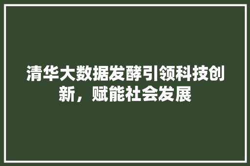 清华大数据发酵引领科技创新，赋能社会发展