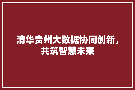清华贵州大数据协同创新，共筑智慧未来