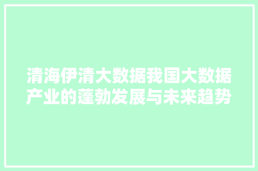 清海伊清大数据我国大数据产业的蓬勃发展与未来趋势