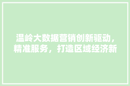 温岭大数据营销创新驱动，精准服务，打造区域经济新引擎