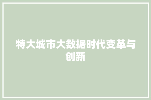 特大城市大数据时代变革与创新
