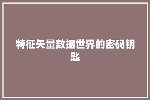特征矢量数据世界的密码钥匙
