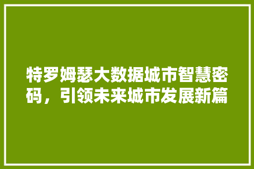 特罗姆瑟大数据城市智慧密码，引领未来城市发展新篇章
