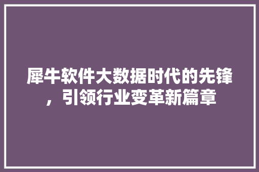 犀牛软件大数据时代的先锋，引领行业变革新篇章