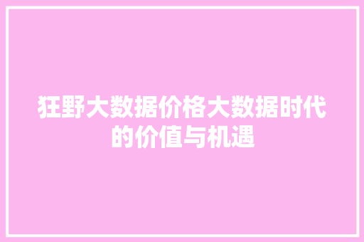 狂野大数据价格大数据时代的价值与机遇