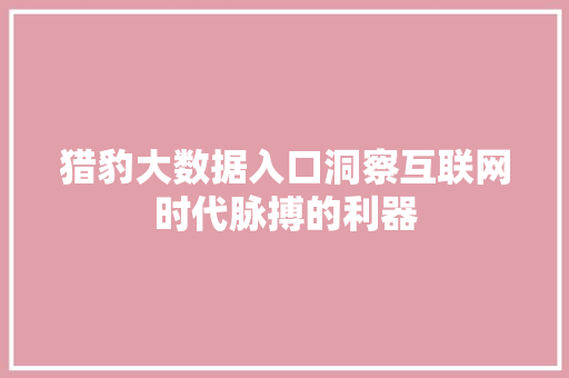 猎豹大数据入口洞察互联网时代脉搏的利器