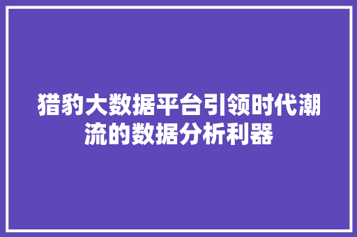 猎豹大数据平台引领时代潮流的数据分析利器